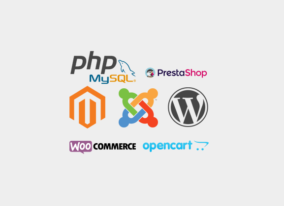 dynamic web designing compubrain